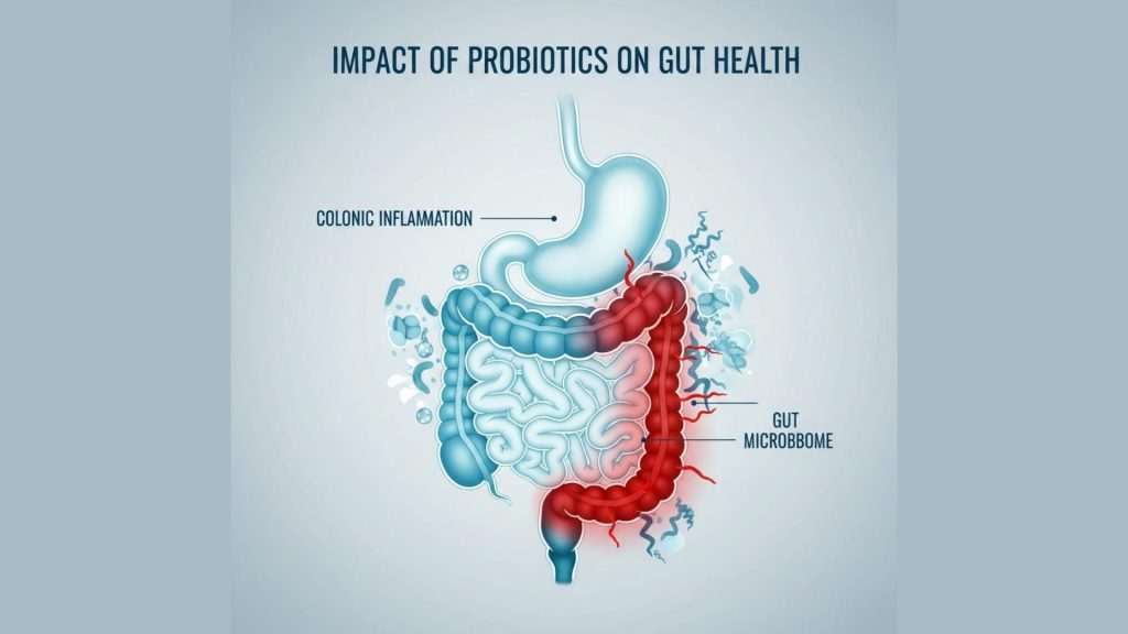 Best Probiotic Foods for Gut Health