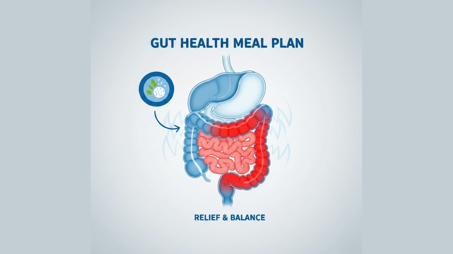 Gut Health Meal Plan